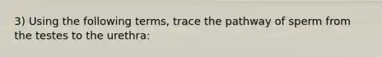 3) Using the following terms, trace the pathway of sperm from the testes to the urethra: