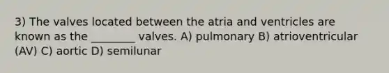 3) The valves located between the atria and ventricles are known as the ________ valves. A) pulmonary B) atrioventricular (AV) C) aortic D) semilunar