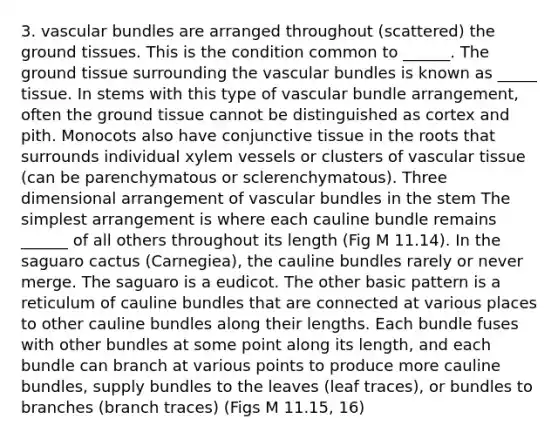 3. vascular bundles are arranged throughout (scattered) the ground tissues. This is the condition common to ______. The ground tissue surrounding the vascular bundles is known as _____ tissue. In stems with this type of vascular bundle arrangement, often the ground tissue cannot be distinguished as cortex and pith. Monocots also have conjunctive tissue in the roots that surrounds individual xylem vessels or clusters of vascular tissue (can be parenchymatous or sclerenchymatous). Three dimensional arrangement of vascular bundles in the stem The simplest arrangement is where each cauline bundle remains ______ of all others throughout its length (Fig M 11.14). In the saguaro cactus (Carnegiea), the cauline bundles rarely or never merge. The saguaro is a eudicot. The other basic pattern is a reticulum of cauline bundles that are connected at various places to other cauline bundles along their lengths. Each bundle fuses with other bundles at some point along its length, and each bundle can branch at various points to produce more cauline bundles, supply bundles to the leaves (leaf traces), or bundles to branches (branch traces) (Figs M 11.15, 16)