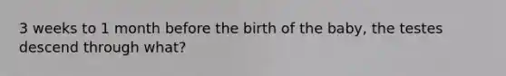 3 weeks to 1 month before the birth of the baby, the testes descend through what?