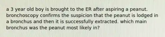 a 3 year old boy is brought to the ER after aspiring a peanut. bronchoscopy confirms the suspicion that the peanut is lodged in a bronchus and then it is successfully extracted. which main bronchus was the peanut most likely in?