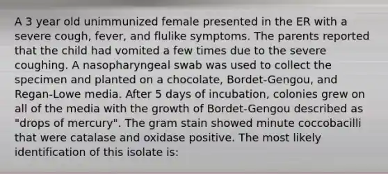 A 3 year old unimmunized female presented in the ER with a severe cough, fever, and flulike symptoms. The parents reported that the child had vomited a few times due to the severe coughing. A nasopharyngeal swab was used to collect the specimen and planted on a chocolate, Bordet-Gengou, and Regan-Lowe media. After 5 days of incubation, colonies grew on all of the media with the growth of Bordet-Gengou described as "drops of mercury". The gram stain showed minute coccobacilli that were catalase and oxidase positive. The most likely identification of this isolate is: