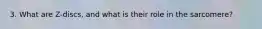 3. What are Z-discs, and what is their role in the sarcomere?