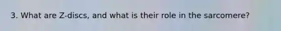3. What are Z-discs, and what is their role in the sarcomere?
