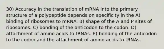 30) Accuracy in the translation of mRNA into the primary structure of a polypeptide depends on specificity in the A) binding of ribosomes to mRNA. B) shape of the A and P sites of ribosomes. C) bonding of the anticodon to the codon. D) attachment of amino acids to tRNAs. E) bonding of the anticodon to the codon and the attachment of amino acids to tRNAs.