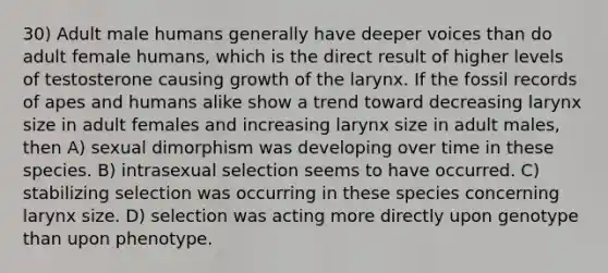 30) Adult male humans generally have deeper voices than do adult female humans, which is the direct result of higher levels of testosterone causing growth of the larynx. If the fossil records of apes and humans alike show a trend toward decreasing larynx size in adult females and increasing larynx size in adult males, then A) sexual dimorphism was developing over time in these species. B) intrasexual selection seems to have occurred. C) stabilizing selection was occurring in these species concerning larynx size. D) selection was acting more directly upon genotype than upon phenotype.