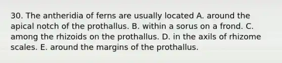 30. The antheridia of ferns are usually located A. around the apical notch of the prothallus. B. within a sorus on a frond. C. among the rhizoids on the prothallus. D. in the axils of rhizome scales. E. around the margins of the prothallus.