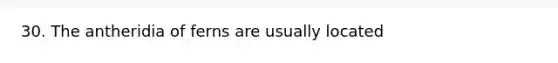 30. The antheridia of ferns are usually located