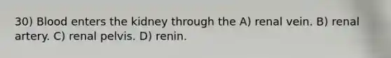 30) Blood enters the kidney through the A) renal vein. B) renal artery. C) renal pelvis. D) renin.