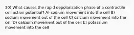 30) What causes the rapid depolarization phase of a contractile cell action potential? A) sodium movement into the cell B) sodium movement out of the cell C) calcium movement into the cell D) calcium movement out of the cell E) potassium movement into the cell