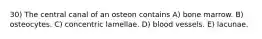 30) The central canal of an osteon contains A) bone marrow. B) osteocytes. C) concentric lamellae. D) blood vessels. E) lacunae.