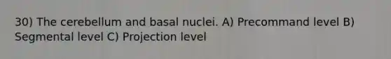 30) The cerebellum and basal nuclei. A) Precommand level B) Segmental level C) Projection level