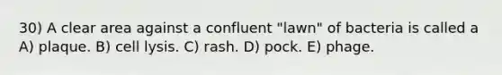 30) A clear area against a confluent "lawn" of bacteria is called a A) plaque. B) cell lysis. C) rash. D) pock. E) phage.