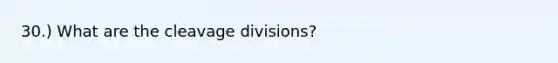 30.) What are the cleavage divisions?