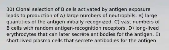 30) Clonal selection of B cells activated by antigen exposure leads to production of A) large numbers of neutrophils. B) large quantities of the antigen initially recognized. C) vast numbers of B cells with random antigen-recognition receptors. D) long-lived erythrocytes that can later secrete antibodies for the antigen. E) short-lived plasma cells that secrete antibodies for the antigen