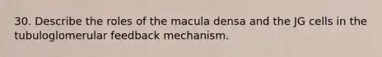 30. Describe the roles of the macula densa and the JG cells in the tubuloglomerular feedback mechanism.