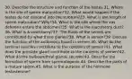 30. Describe the structure and function of the testes.31. Where is the site of sperm maturation?32. What would happen if the testes do not descend into the scrotum?33. What is the length of sperm maturation? Why?34. What is the site where the vas deferens enters the abdomen?35. What is the ejaculatory duct?36. What is a vasectomy?37. The fluids of the semen are contributed by what three glands?38. What is semen?39. Discuss the function of the antibiotics found in semen.40. What do the seminal vesicles contribute to the contents of semen?41. What does the prostate gland contribute to the contents of semen?42. What do the bulbourethral glands secrete?43. Describe the formation of sperm from spermatogonia.44. Describe the parts of a mature sperm.45. What is the purpose of the hormone testosterone?