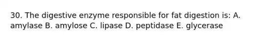 30. The digestive enzyme responsible for fat digestion is: A. amylase B. amylose C. lipase D. peptidase E. glycerase