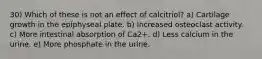 30) Which of these is not an effect of calcitriol? a) Cartilage growth in the epiphyseal plate. b) Increased osteoclast activity. c) More intestinal absorption of Ca2+. d) Less calcium in the urine. e) More phosphate in the urine.