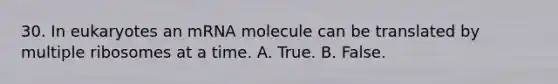 30. In eukaryotes an mRNA molecule can be translated by multiple ribosomes at a time. A. True. B. False.