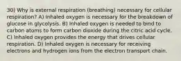 30) Why is external respiration (breathing) necessary for cellular respiration? A) Inhaled oxygen is necessary for the breakdown of glucose in glycolysis. B) Inhaled oxygen is needed to bind to carbon atoms to form carbon dioxide during the citric acid cycle. C) Inhaled oxygen provides the energy that drives cellular respiration. D) Inhaled oxygen is necessary for receiving electrons and hydrogen ions from the electron transport chain.