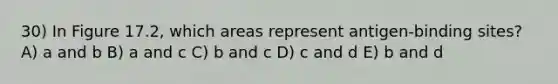 30) In Figure 17.2, which areas represent antigen-binding sites? A) a and b B) a and c C) b and c D) c and d E) b and d