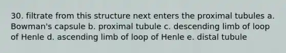 30. filtrate from this structure next enters the proximal tubules a. ​Bowman's capsule b. ​proximal tubule c. ​descending limb of loop of Henle d. ​ascending limb of loop of Henle e. ​distal tubule