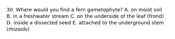 30. Where would you find a fern gametophyte? A. on moist soil B. in a freshwater stream C. on the underside of the leaf (frond) D. inside a dissected seed E. attached to the underground stem (rhizoids)