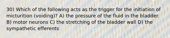 30) Which of the following acts as the trigger for the initiation of micturition (voiding)? A) the pressure of the fluid in the bladder B) motor neurons C) the stretching of the bladder wall D) the sympathetic efferents