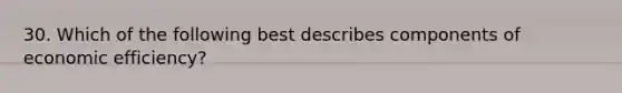 30. Which of the following best describes components of economic efficiency?