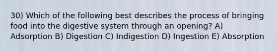 30) Which of the following best describes the process of bringing food into the digestive system through an opening? A) Adsorption B) Digestion C) Indigestion D) Ingestion E) Absorption