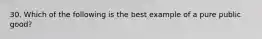 30. Which of the following is the best example of a pure public good?