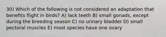 30) Which of the following is not considered an adaptation that benefits flight in birds? A) lack teeth B) small gonads, except during the breeding season C) no urinary bladder D) small pectoral muscles E) most species have one ovary