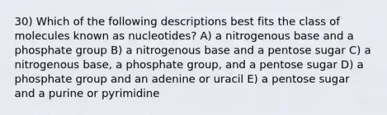 30) Which of the following descriptions best fits the class of molecules known as nucleotides? A) a nitrogenous base and a phosphate group B) a nitrogenous base and a pentose sugar C) a nitrogenous base, a phosphate group, and a pentose sugar D) a phosphate group and an adenine or uracil E) a pentose sugar and a purine or pyrimidine