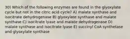 30) Which of the following enzymes are found in the glyoxylate cycle but not in the citric acid cycle? A) malate synthase and isocitrate dehydrogenase B) glyoxylate synthase and malate synthase C) isocitrate lyase and malate dehydrogenase D) malate synthase and isocitrate lyase E) succinyl CoA synthetase and glyoxylate synthase