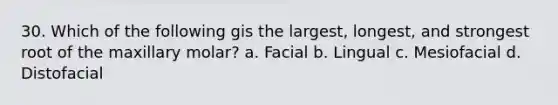 30. Which of the following gis the largest, longest, and strongest root of the maxillary molar? a. Facial b. Lingual c. Mesiofacial d. Distofacial