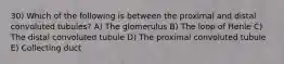 30) Which of the following is between the proximal and distal convoluted tubules? A) The glomerulus B) The loop of Henle C) The distal convoluted tubule D) The proximal convoluted tubule E) Collecting duct