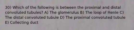 30) Which of the following is between the proximal and distal convoluted tubules? A) The glomerulus B) The loop of Henle C) The distal convoluted tubule D) The proximal convoluted tubule E) Collecting duct