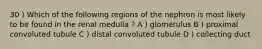 30 ) Which of the following regions of the nephron is most likely to be found in the renal medulla ? A ) glomerulus B ) proximal convoluted tubule C ) distal convoluted tubule D ) collecting duct