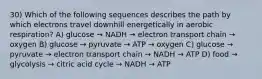 30) Which of the following sequences describes the path by which electrons travel downhill energetically in aerobic respiration? A) glucose → NADH → electron transport chain → oxygen B) glucose → pyruvate → ATP → oxygen C) glucose → pyruvate → electron transport chain → NADH → ATP D) food → glycolysis → citric acid cycle → NADH → ATP