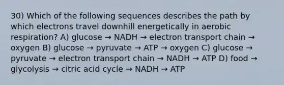 30) Which of the following sequences describes the path by which electrons travel downhill energetically in aerobic respiration? A) glucose → NADH → electron transport chain → oxygen B) glucose → pyruvate → ATP → oxygen C) glucose → pyruvate → electron transport chain → NADH → ATP D) food → glycolysis → citric acid cycle → NADH → ATP