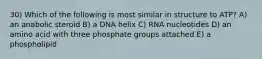 30) Which of the following is most similar in structure to ATP? A) an anabolic steroid B) a DNA helix C) RNA nucleotides D) an amino acid with three phosphate groups attached E) a phospholipid