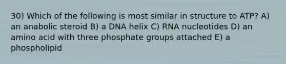 30) Which of the following is most similar in structure to ATP? A) an anabolic steroid B) a DNA helix C) RNA nucleotides D) an amino acid with three phosphate groups attached E) a phospholipid