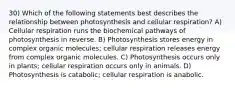 30) Which of the following statements best describes the relationship between photosynthesis and cellular respiration? A) Cellular respiration runs the biochemical pathways of photosynthesis in reverse. B) Photosynthesis stores energy in complex organic molecules; cellular respiration releases energy from complex organic molecules. C) Photosynthesis occurs only in plants; cellular respiration occurs only in animals. D) Photosynthesis is catabolic; cellular respiration is anabolic.