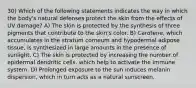 30) Which of the following statements indicates the way in which the body's natural defenses protect the skin from the effects of UV damage? A) The skin is protected by the synthesis of three pigments that contribute to the skin's color. B) Carotene, which accumulates in the stratum corneum and hypodermal adipose tissue, is synthesized in large amounts in the presence of sunlight. C) The skin is protected by increasing the number of epidermal dendritic cells, which help to activate the immune system. D) Prolonged exposure to the sun induces melanin dispersion, which in turn acts as a natural sunscreen.