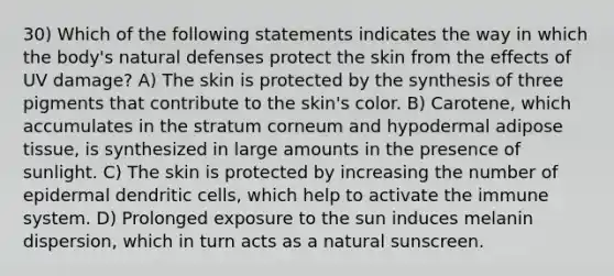 30) Which of the following statements indicates the way in which the body's natural defenses protect the skin from the effects of UV damage? A) The skin is protected by the synthesis of three pigments that contribute to the skin's color. B) Carotene, which accumulates in the stratum corneum and hypodermal adipose tissue, is synthesized in large amounts in the presence of sunlight. C) The skin is protected by increasing the number of epidermal dendritic cells, which help to activate the immune system. D) Prolonged exposure to the sun induces melanin dispersion, which in turn acts as a natural sunscreen.