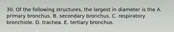 30. Of the following structures, the largest in diameter is the A. primary bronchus. B. secondary bronchus. C. respiratory bronchiole. D. trachea. E. tertiary bronchus.