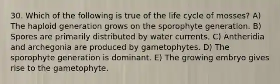 30. Which of the following is true of the life cycle of mosses? A) The haploid generation grows on the sporophyte generation. B) Spores are primarily distributed by water currents. C) Antheridia and archegonia are produced by gametophytes. D) The sporophyte generation is dominant. E) The growing embryo gives rise to the gametophyte.