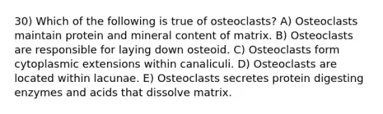 30) Which of the following is true of osteoclasts? A) Osteoclasts maintain protein and mineral content of matrix. B) Osteoclasts are responsible for laying down osteoid. C) Osteoclasts form cytoplasmic extensions within canaliculi. D) Osteoclasts are located within lacunae. E) Osteoclasts secretes protein digesting enzymes and acids that dissolve matrix.