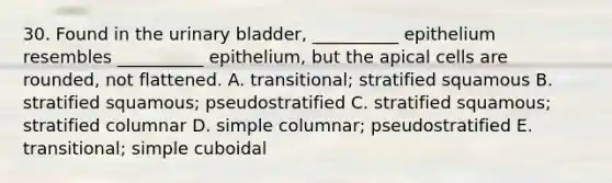 30. Found in the <a href='https://www.questionai.com/knowledge/kb9SdfFdD9-urinary-bladder' class='anchor-knowledge'>urinary bladder</a>, __________ epithelium resembles __________ epithelium, but the apical cells are rounded, not flattened. A. transitional; stratified squamous B. stratified squamous; pseudostratified C. stratified squamous; stratified columnar D. simple columnar; pseudostratified E. transitional; simple cuboidal